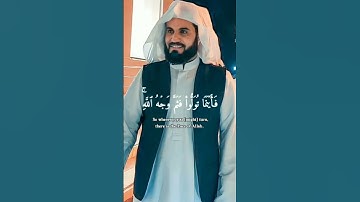 جديد#سورة البقرة رعد الكردي#raad alkurdi#surah albaqarah