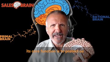 Dr. Christophe Morin Explains the Neuroscience of Persuasion by Engaging the Primal Brain