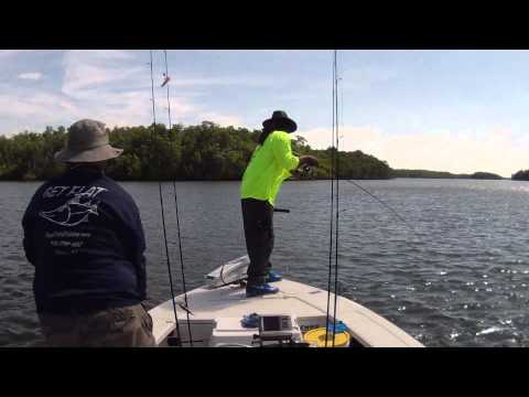 Goliath Grouper in the Everglades JoeyFlatsFlats.com 2014