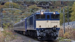 横須賀線E235系J-18編成配給　土合駅・湯檜曽～水上駅間通過