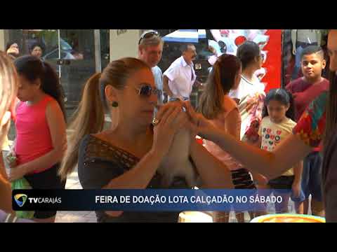 Feirinha de doação de animais movimentou a praça central de Campo Mourão