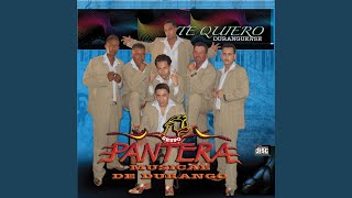 Video thumbnail of "Pantera Musical De Durango - Adolorido"