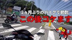 Rampage Monkey Youtube Rampage Monkey Youtube
