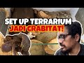 Terrarium disulap jadi crabitat bikin habitat nyaman buat hermit crab