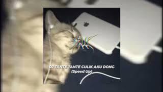 DJ TANTE TANTE CULIK AKU DONG ( Speed Up )
