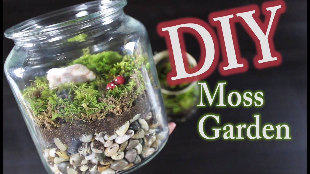 DIY Moss Terrarium: How To Make A Moss Garden 