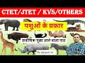 पशुओं के प्रकार