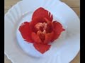 Cách tỉa hoa từ quả Ơt-carving Art Paprika Flower-從蔬菜雕刻花-Blume schnitzen aus Paprika