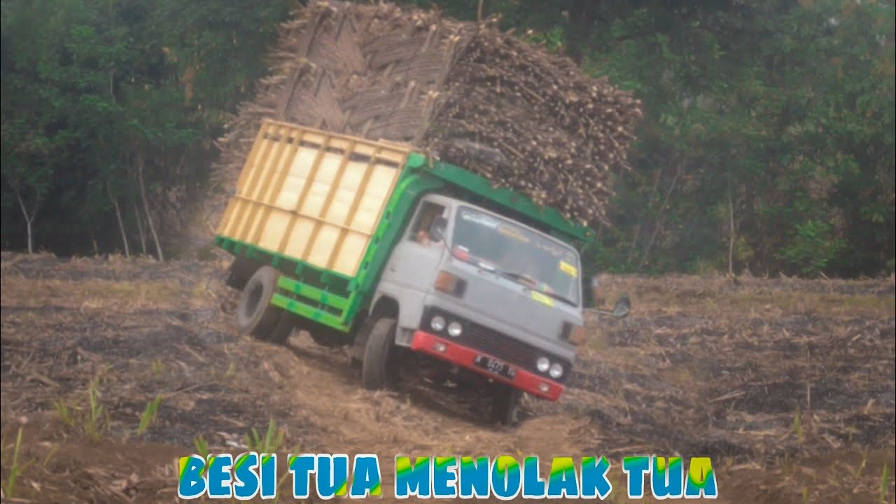 truk umplung muat tebu gayor cui