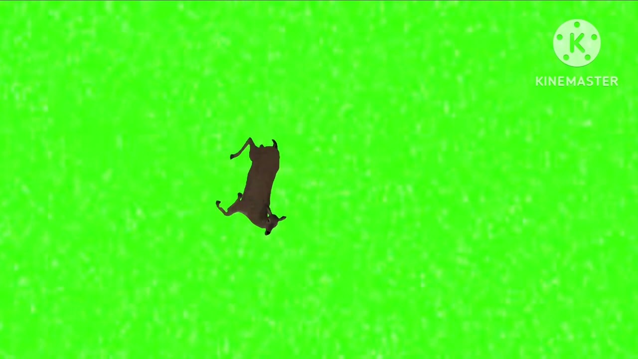 deer die green screen