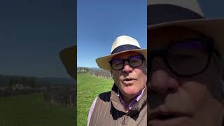 Opus One - Blending, Chapter 2