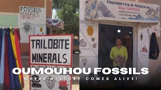 Inside Oumouhou Fossils Store | Morocco’s Top Fossil & Mineral Treasure Shop 🇲🇦