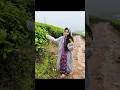 “From Coding to Calm 😌💻➡️🌿”“Collecting Memories, Not Things ❤️”#freelancer #nature #minivlog #viral