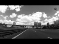 Molly Nilsson - "Máximo Says"