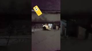 Ya kya bhoot ha? funny tiktok viral trending youtubeshorts shortfeed shorts viralreels