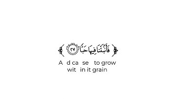 كروما شاشة بيضاء قرآن كريم 🌿تلاوة من سورة عبس 🌿القارئ طارق محمد 🌿