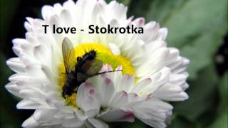 T love - stokrotka.wmv chords