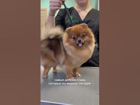 Самые добрые глаза, которые ты видишь сегодня - YouTube
