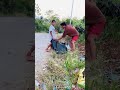 A lot of waste dump along the road ,and we take an action for this .we initiated without asking pay.