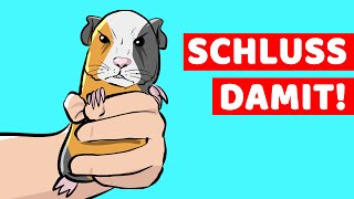 12 Dinge, Die Meerschweinchen HASSEN Und Die Du Besser Lassen Solltest