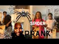 SPIDER PRANK ON THE TAYLOR'S