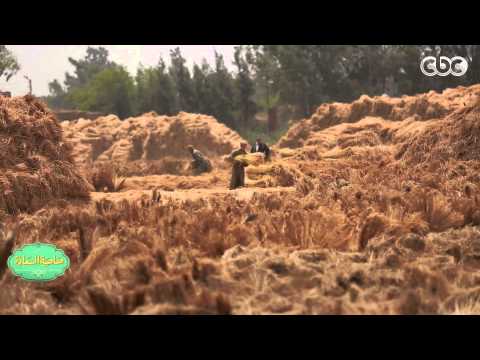 صاحبة السعادة فن صناعة الكتان قرية شبراملس 