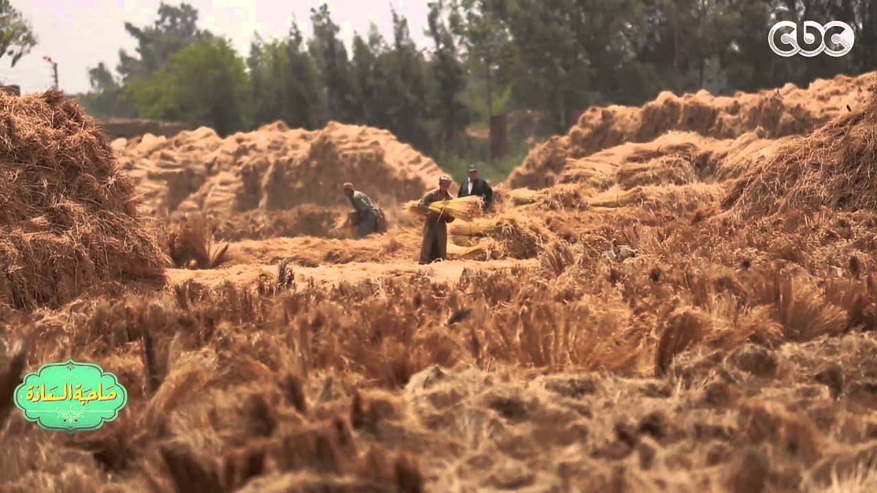 #صاحبة_السعادة | فن صناعة الكتان - قرية شبراملس