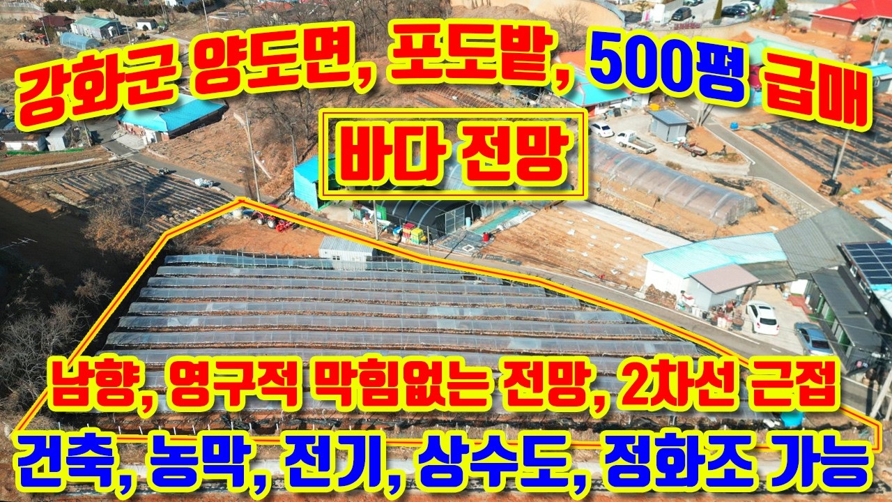 [급매] 꼭 사야하는 위한 토지, 강화군 양도면 능내리, 남서향 포토밭 계획관리, 전 500평 급매, 먼바다 전망, 마을입구, 2차선 국도에서 40m, 3분,#강화도토지매매,