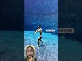 SEPERTI IKAN HIU⁉️
