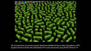 Celebrity Simulation: 3D Microstructure of a Ternary Eutectic Directional Solidified Al-Ag-Cu Alloy Wealth
