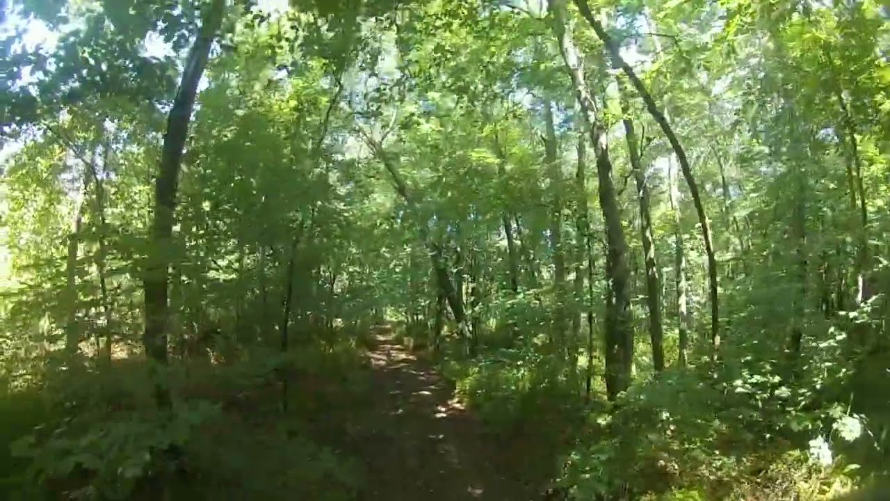 Thank you Chris, Xpicit FPV Woods trip👍😎