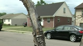 Dearborn man accused of supporting ISIS due in court