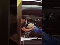 【コールに嫉妬する母】ジョークですから😆【勝てませんて😂】 #ゴールデンレトリバー #大型犬 #コール家