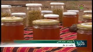 النعامة - فلاحة / أنموذج ناجح في تربية النحل و إنتاج العسل