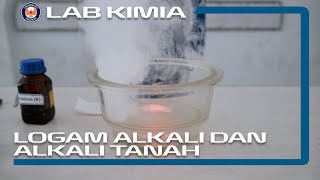 Percobaan Logam Alkali dan Alkali tanah | Lab Kimia | UPT Laboratorium UHO