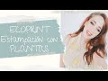 DIY ECOPRINT | Cómo TEÑIR telas con PLANTAS | FASHION REVOLUTION