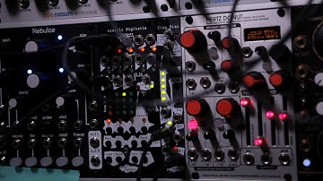 Blog: Mimetic Digitalis as a quantizer