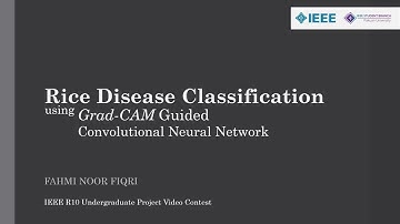 IEEE R10 SAC Video Contest: Rice Disease Classification using Grad-CAM Guided CNN