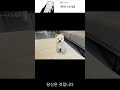 밤 장면은 순수하고 소음이 없습니다 4K 240fps 슬로우 모션 부드럽고 매끄러움 #shorts #fyp #viral #review #pocket3 #trending