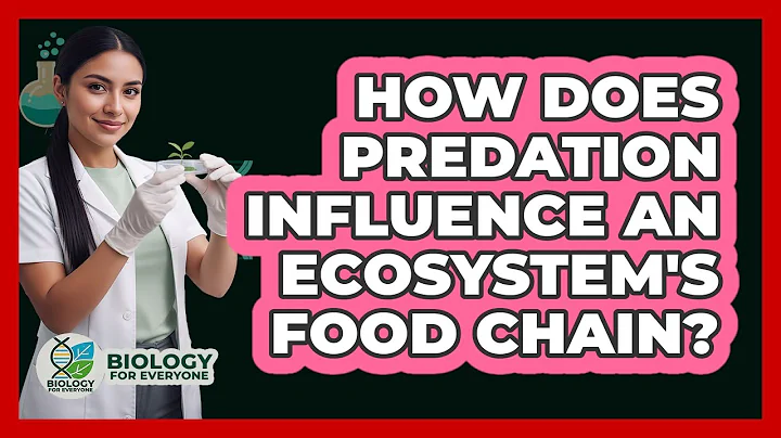 How Does Predation Influence an Ecosystem's Food Chain?