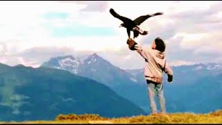 Wings - Thomas Bergersen (epic, emotional, cinematic)