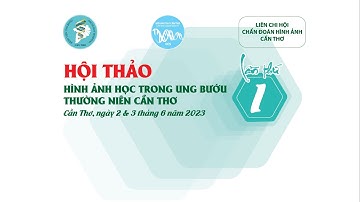 TẬP HUẤN: HÌNH ẢNH HỌC TRONG UNG THƯ GAN (HỘI TRƯỜNG C)