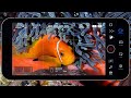 Blackmagic camera app for underwater  every setting explained