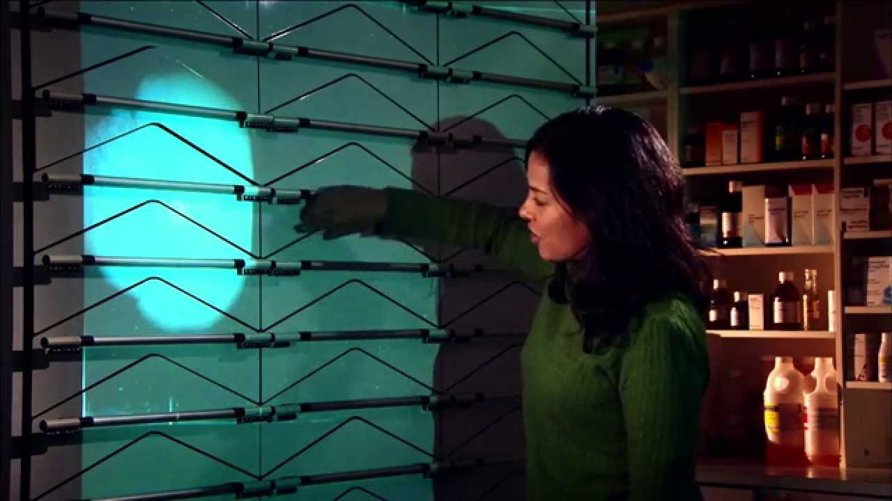 How Do Bacteria Become Resistant? | Bang Goes The Theory | Brit Lab | BBC - YouTube