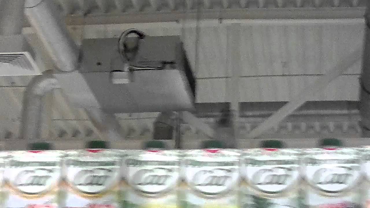 В машину залетела птичка В машину залетела птичка