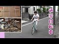 ソラ君の通学自転車　開封と組み立て　My Pallas シティサイクル M-504　2017.7.2