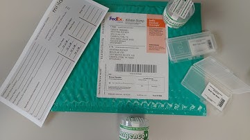 Moldab Professional Mold Test Kit Instructions