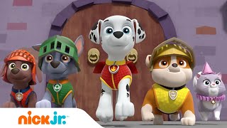 Psi Patrol | Przyjaciele na całe życie | Nick Jr.