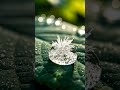 Water droplet freezes into an intricate, sparkling ice crystal.