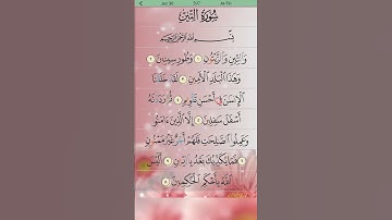 Surah At tin سوره التين beautiful voice quran